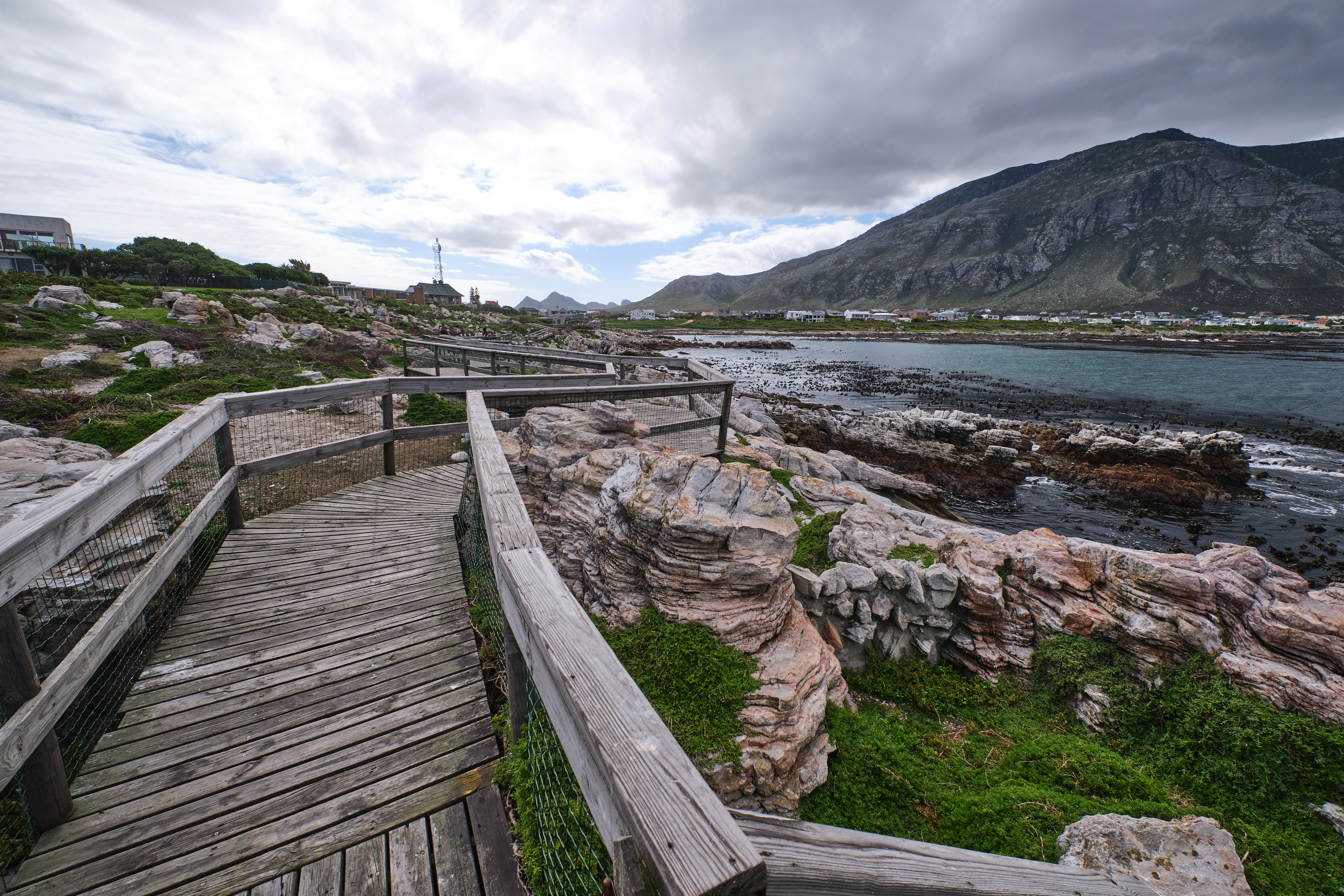 Wooden boardwalk and rocky shoreline near Stony Point Penguin Colony in Betty’s Bay, Western Cape, South Africa