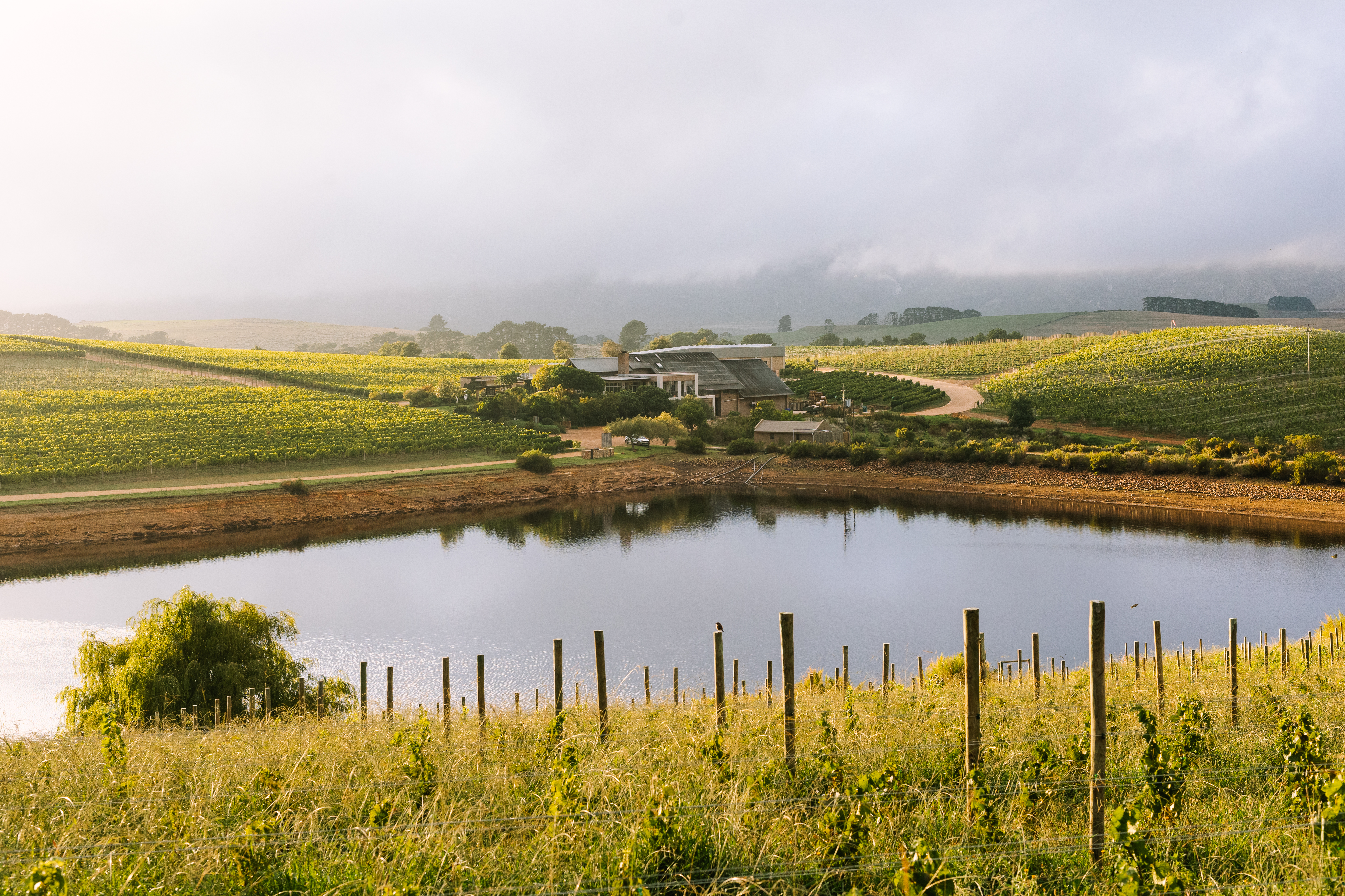 Creation Wines tasting room beside a reflective reservoir surrounded by vineyard-covered hills in the Hemel-en-Aarde Valley near Hermanus, South Africa.
