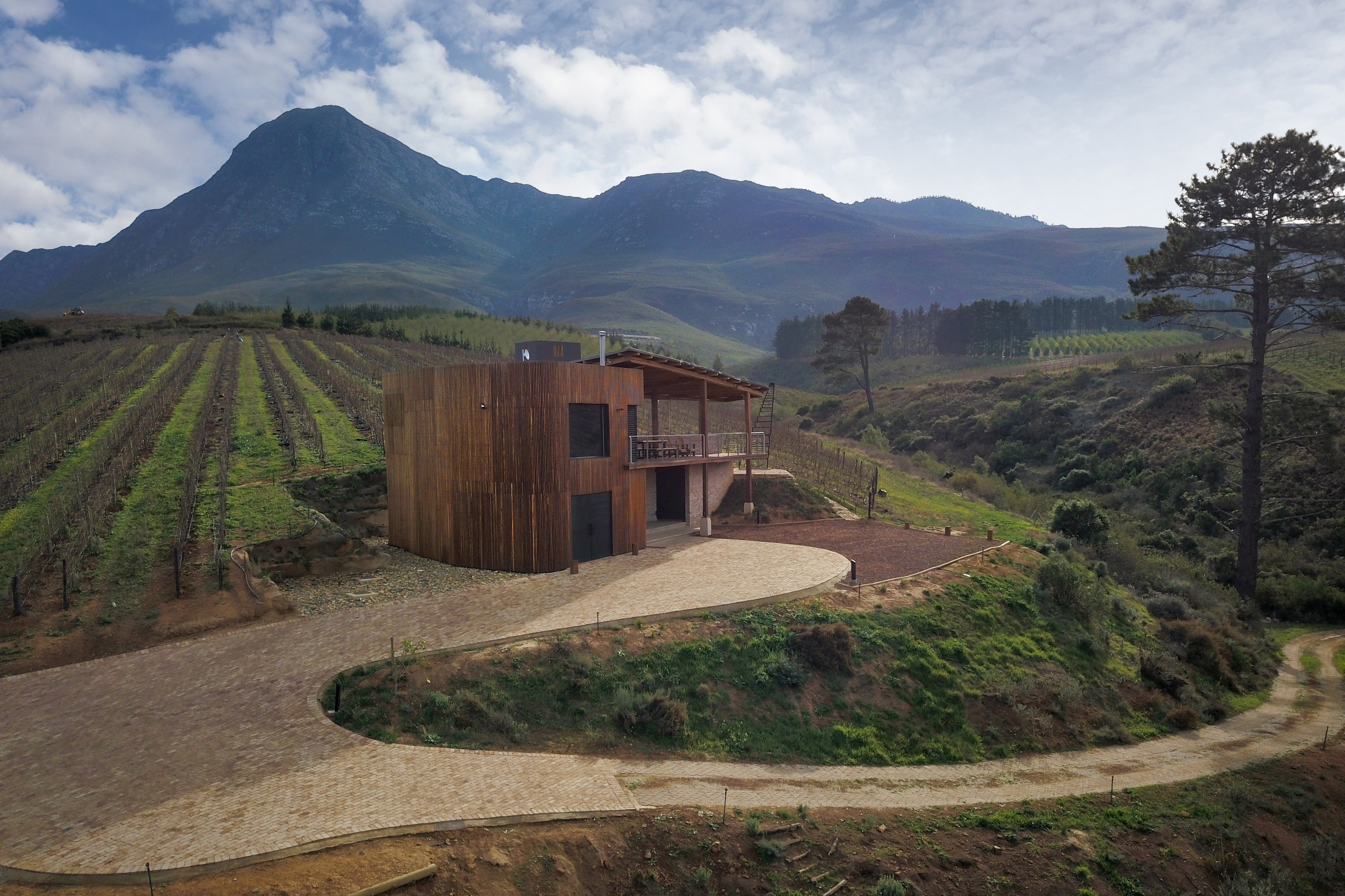 Modern hillside guest lodge and vineyards at Creation Wines in the Hemel-en-Aarde Valley, Overberg, South Africa.