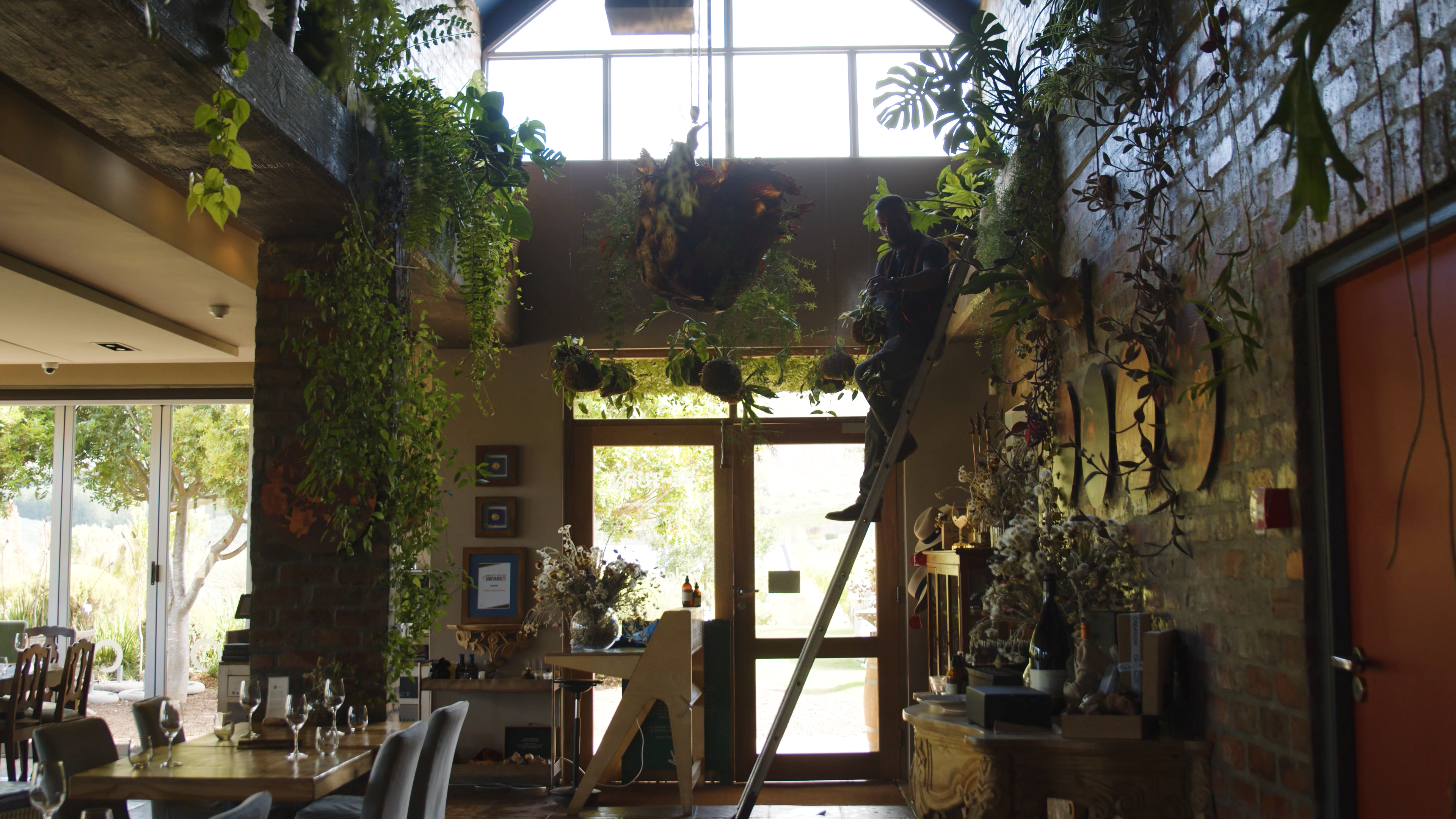 Botanical interior and wine tasting space at Creation Wines in the Hemel-en-Aarde Valley, Overberg, South Africa.
