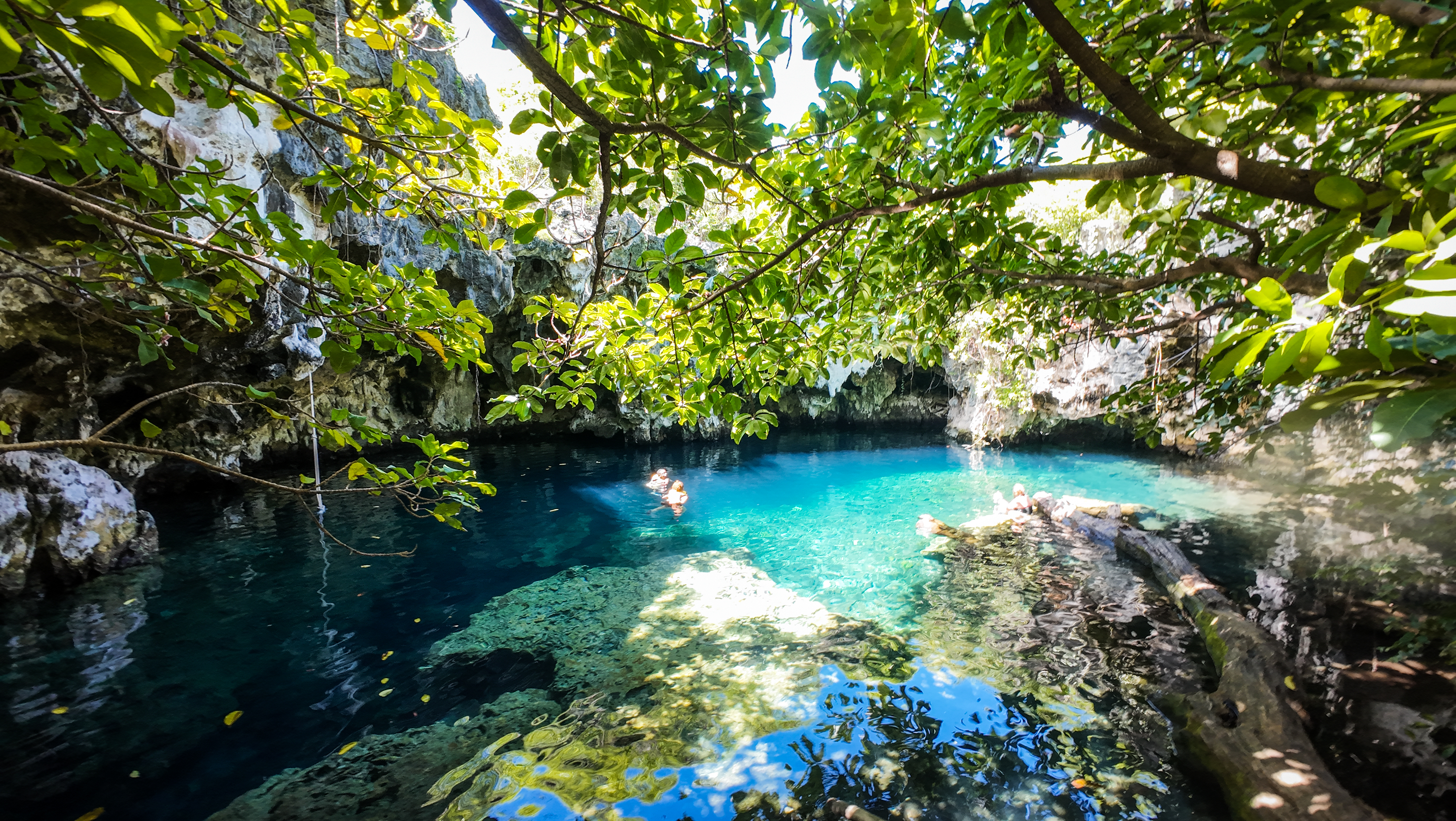 Natural limestone swimming pool with turquoise water beneath overhanging trees at Kuza Cave, Jambiani, Zanzibar, Tanzania.