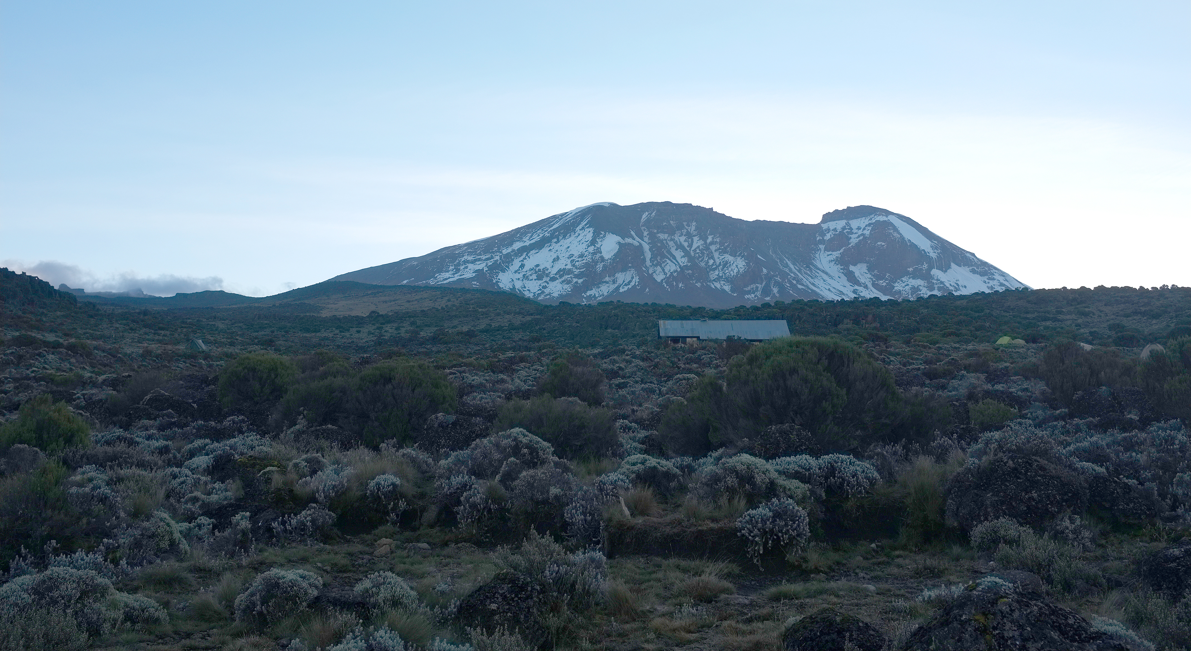 Shira Camp beneath the Kibo massif on Mount Kilimanjaro, Tanzania, surrounded by alpine moorland at an altitude of approximately 3,800 metres above sea level.