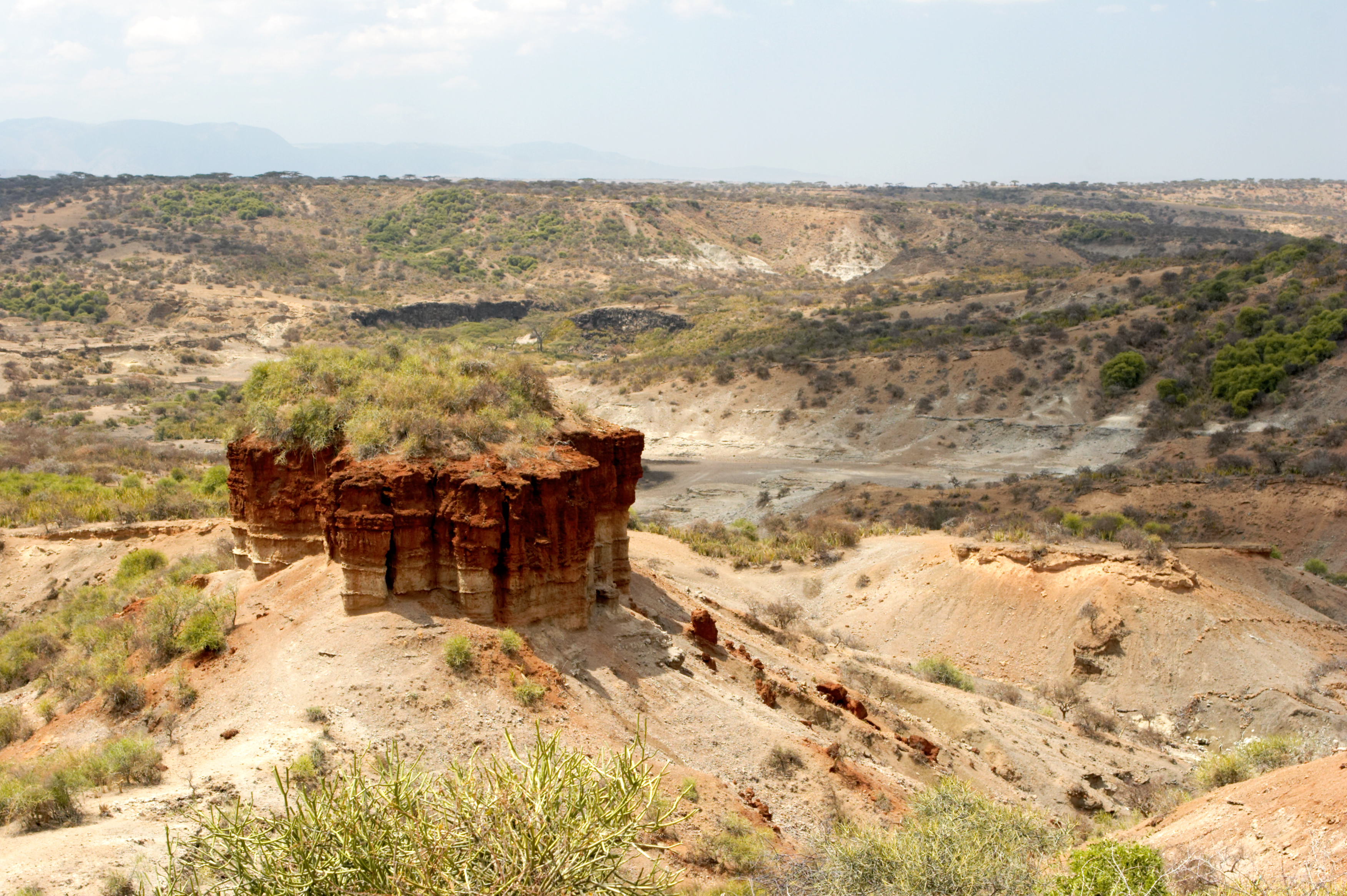 Landscape of Olduvai Gorge showing eroded cliffs and ancient sedimentary layers where some of the earliest human fossils and stone tools were discovered in northern Tanzania.