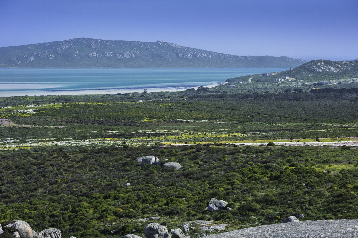 View across West Coast National Park towards the turquoise waters of Langebaan Lagoon, with fynbos landscapes and seasonal wildflowers in the foreground.