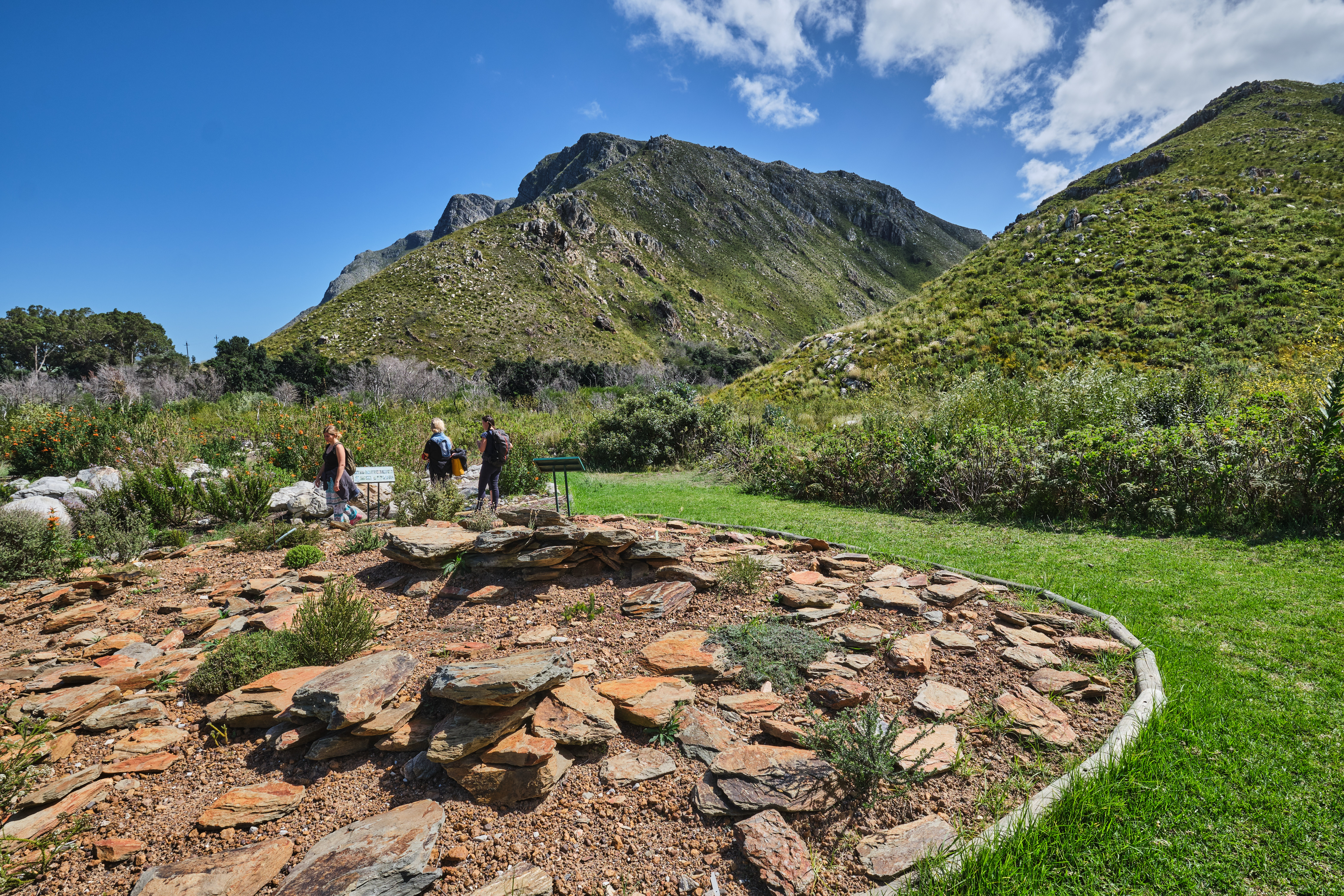 Visitors walking through fynbos gardens beneath steep mountain slopes at Harold Porter National Botanical Garden in Betty’s Bay, South Africa.