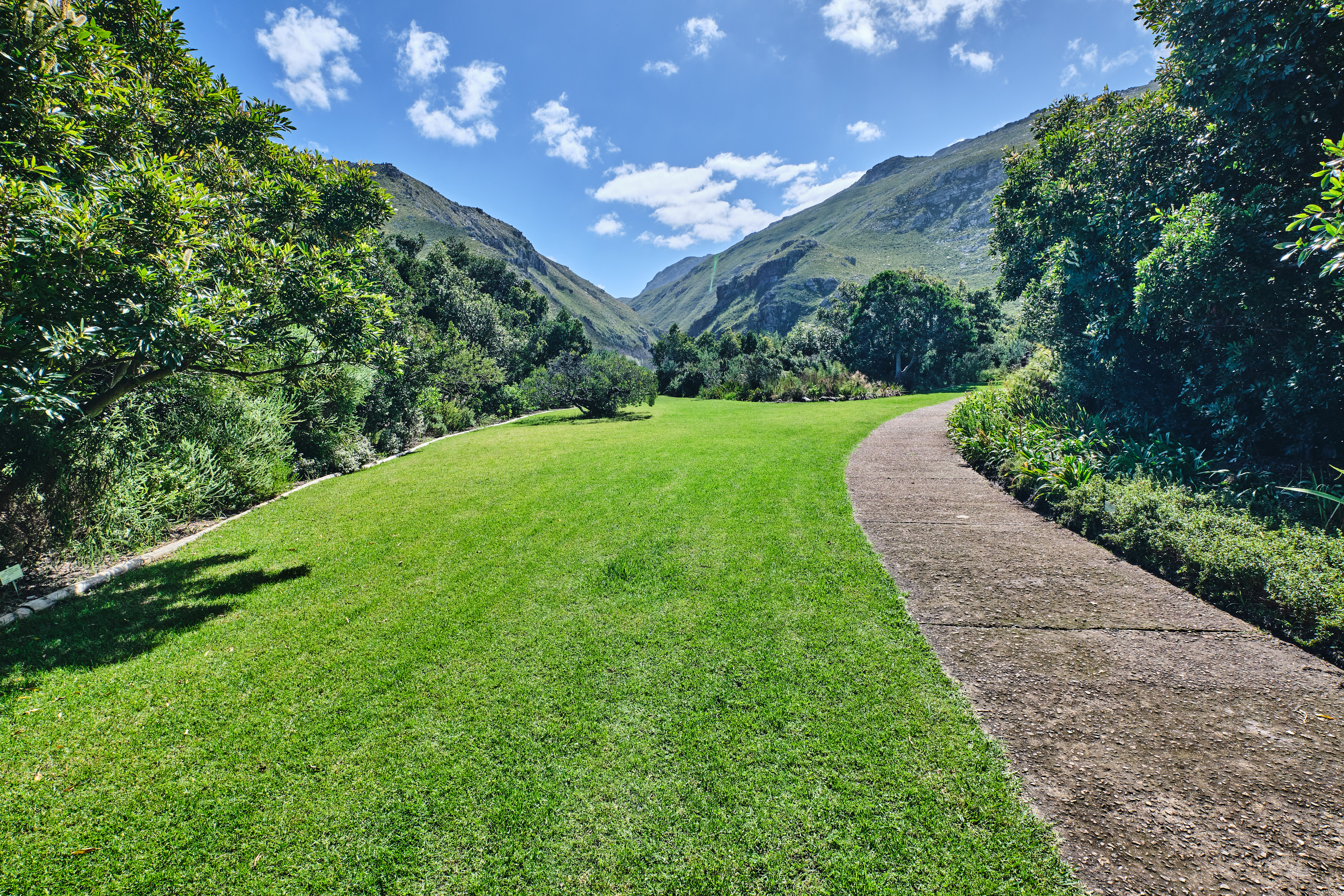 Pathway winding through landscaped gardens and indigenous vegetation beneath steep mountain slopes at Harold Porter National Botanical Garden in Betty’s Bay, South Africa.