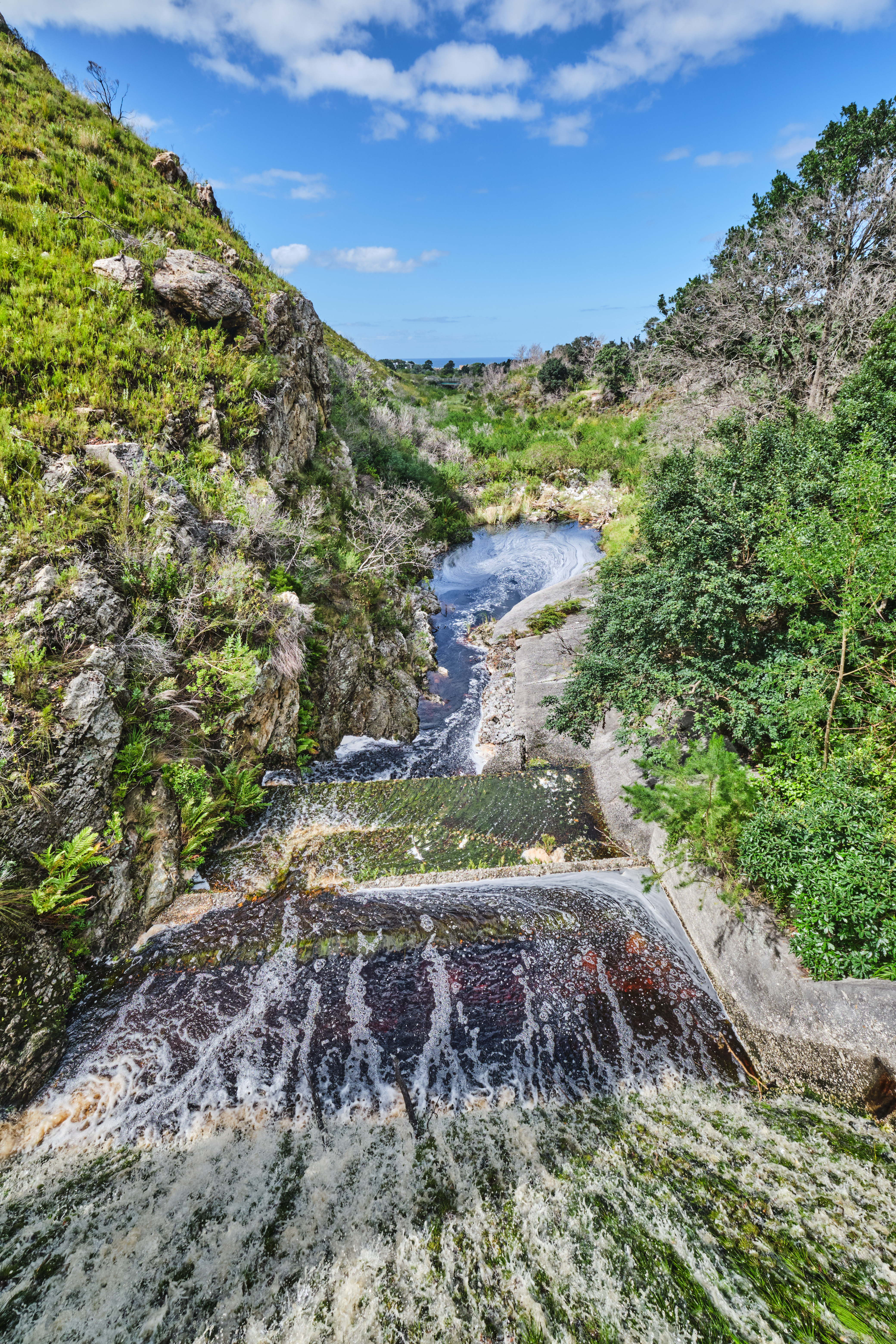 Small cascading stream flowing through rocky fynbos-covered slopes and dense indigenous vegetation at Harold Porter National Botanical Garden in Betty’s Bay, South Africa.