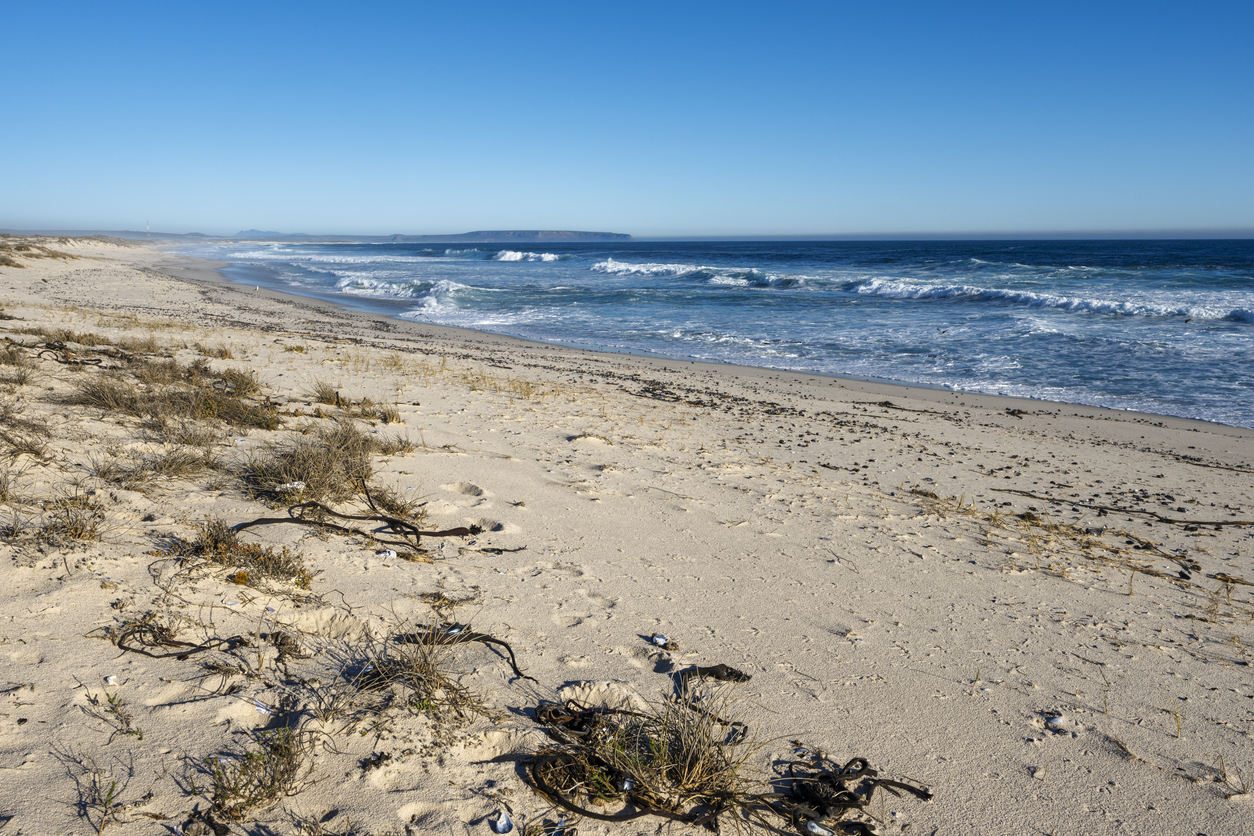 Sandy beach and Atlantic waves near Elands Bay on South Africa's West Coast, with coastal dunes, shoreline vegetation and distant views along the coastline.