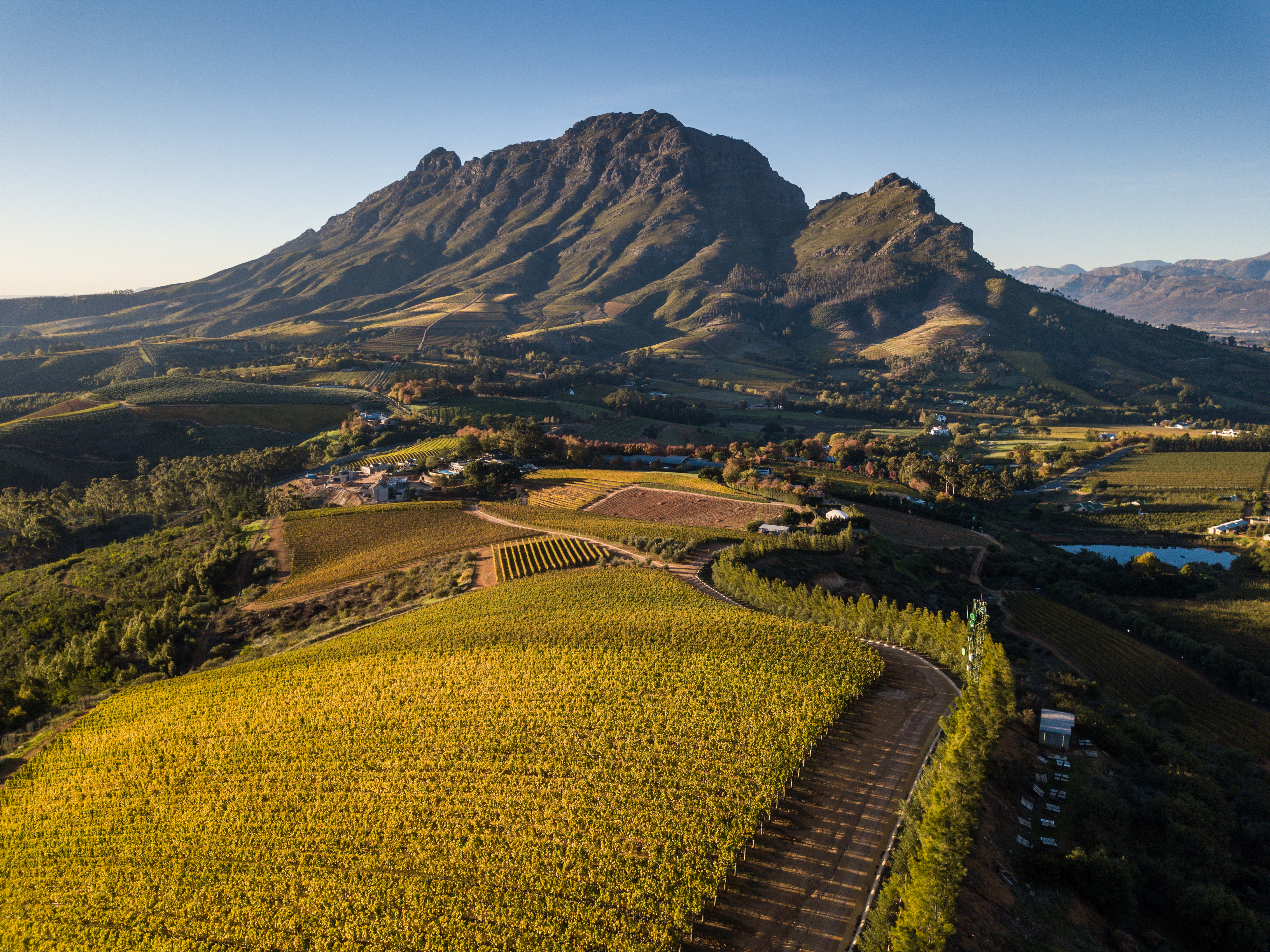 Aerial view of vineyard terraces at Delaire Graff Estate with the Simonsberg mountains rising above the Banhoek Valley in the Cape Winelands.