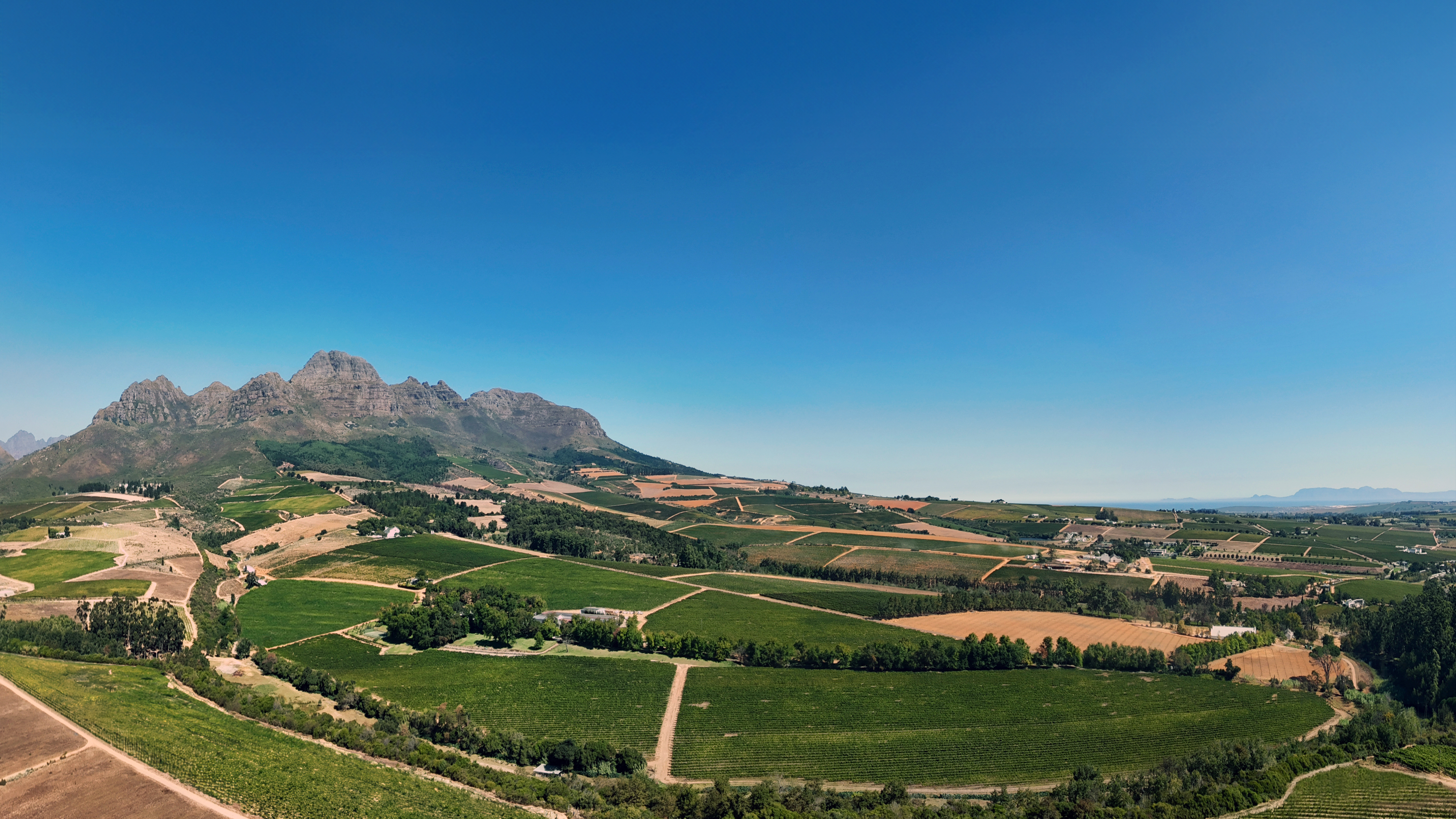 Vineyards and farmland surrounding Rust en Vrede Estate beneath the Helderberg Mountains in Stellenbosch, Cape Winelands, South Africa.