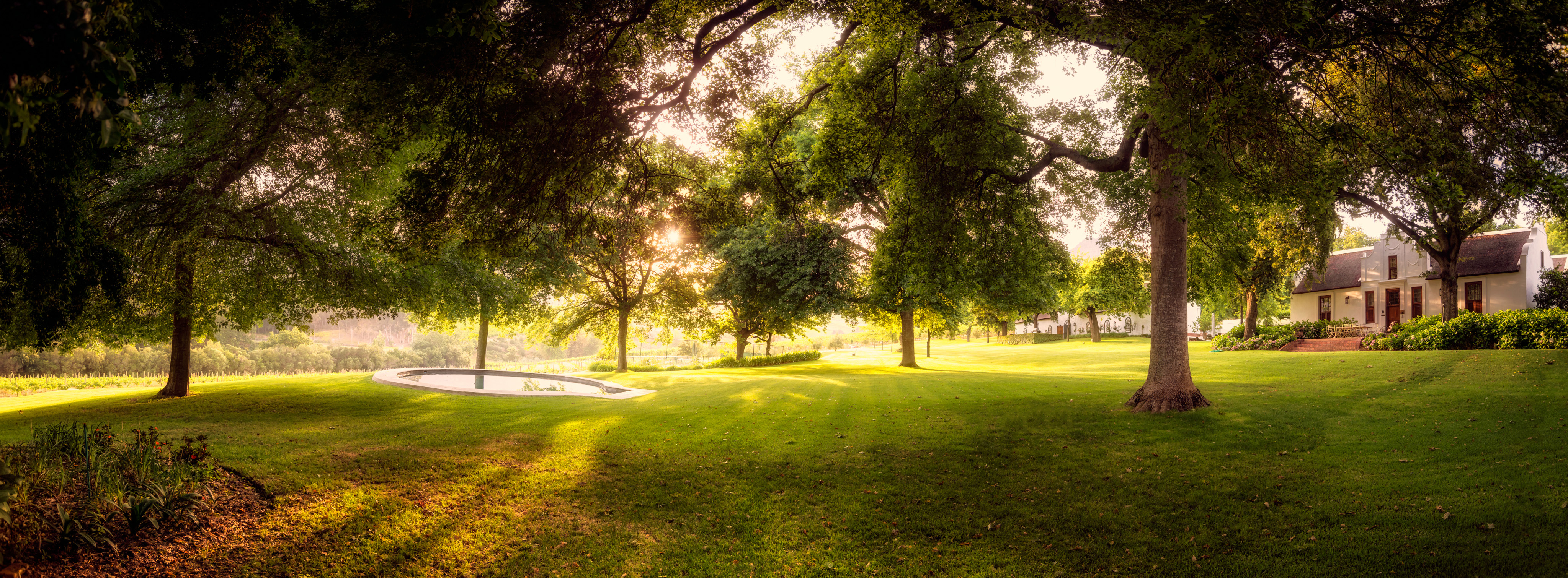 Oak trees and gardens at Rust en Vrede Estate with historic Cape Dutch buildings in Stellenbosch, Cape Winelands, South Africa.