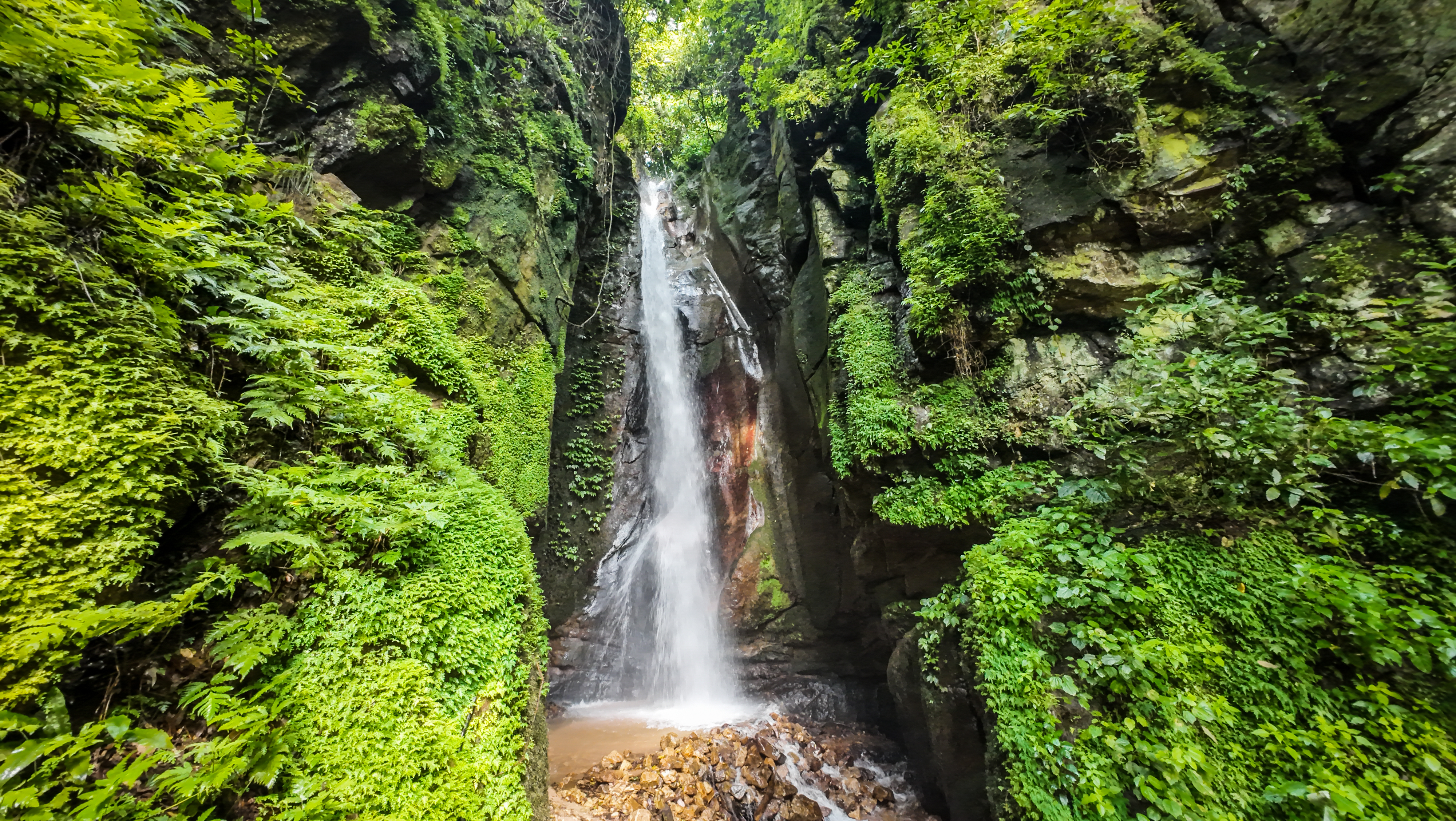 Kakombe Waterfall flowing between moss-covered cliffs in the rainforest of Gombe Stream National Park, Tanzania.