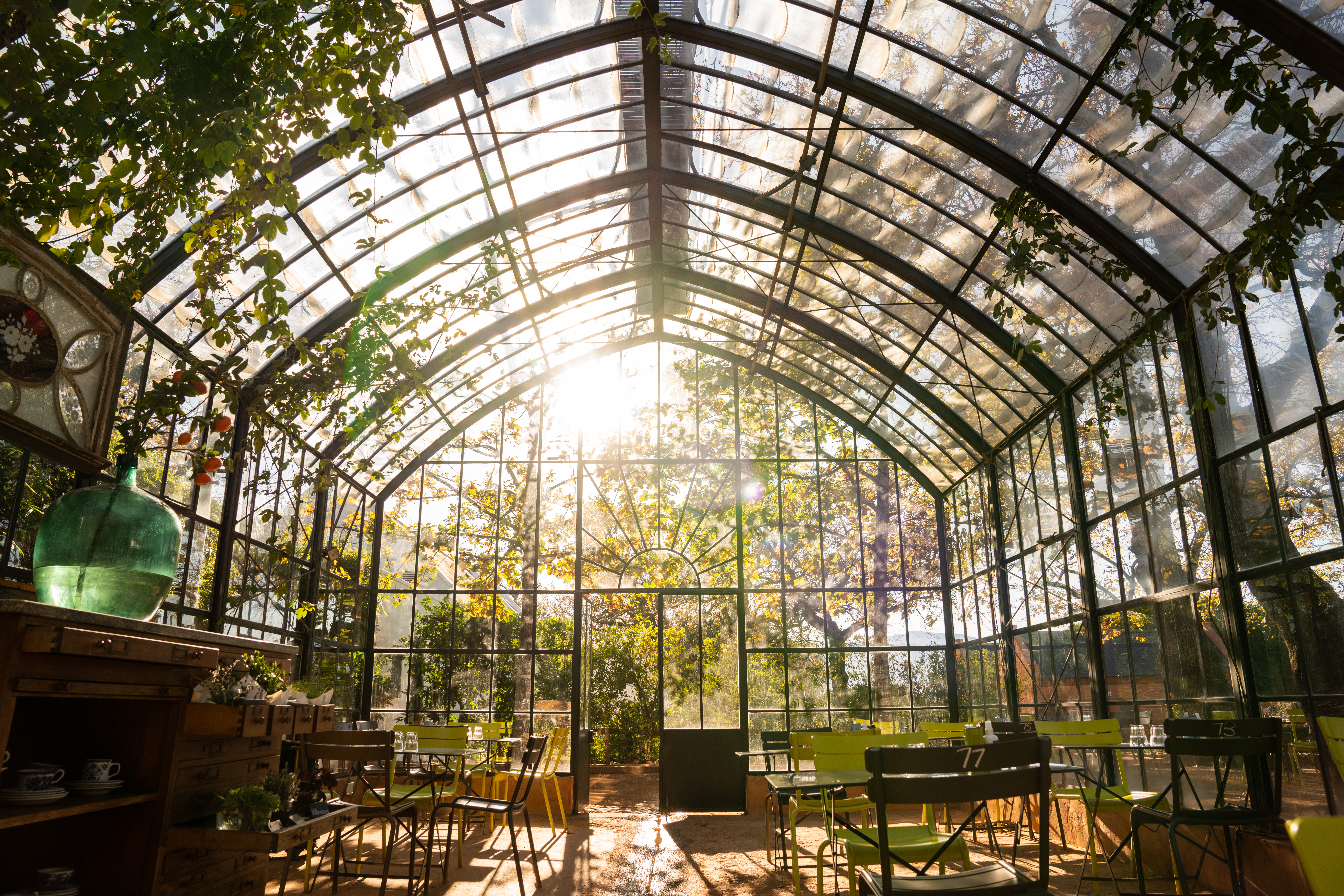 Interior of Babylonstoren greenhouse restaurant with glass walls, sunlight streaming through the conservatory roof, green seating, and surrounding garden vegetation in the Cape Winelands.