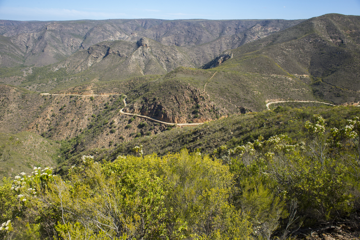 Winding gravel road crossing the rugged mountain slopes of Baviaanskloof Pass in the Eastern Cape, South Africa.