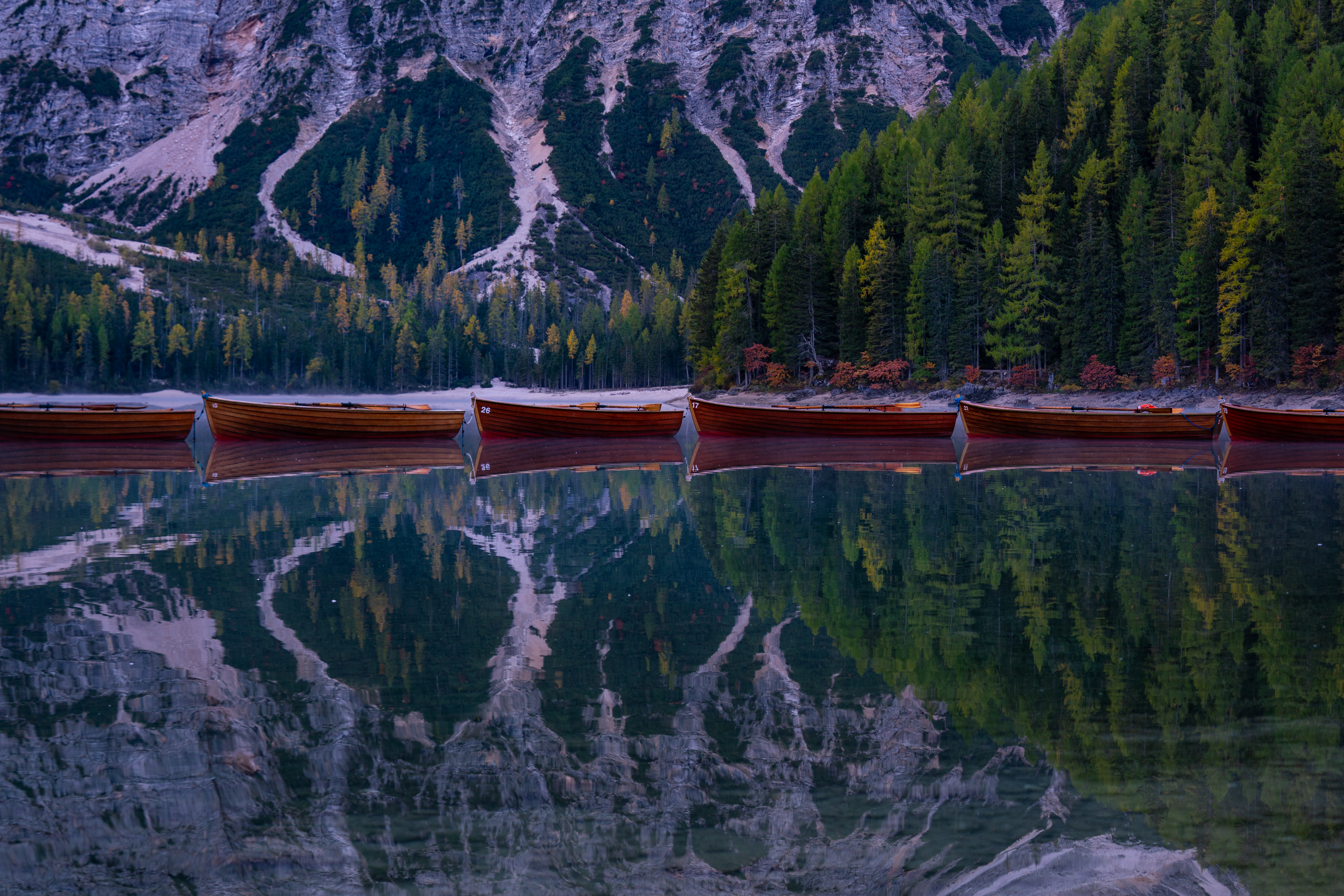 Wooden boats on Lago di Carezza reflecting the Latemar mountains in the Dolomites, Italy.