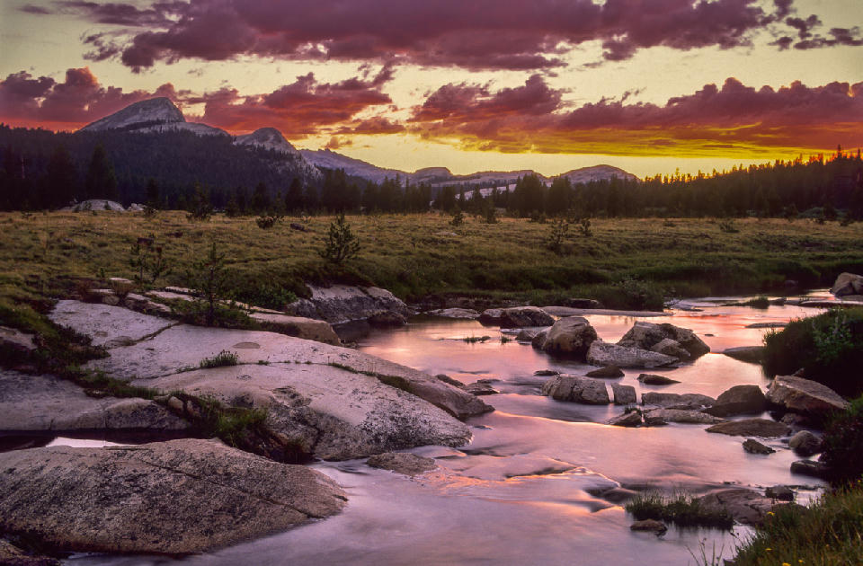 alpine meadow and granite stream in Tuolumne Meadows Yosemite