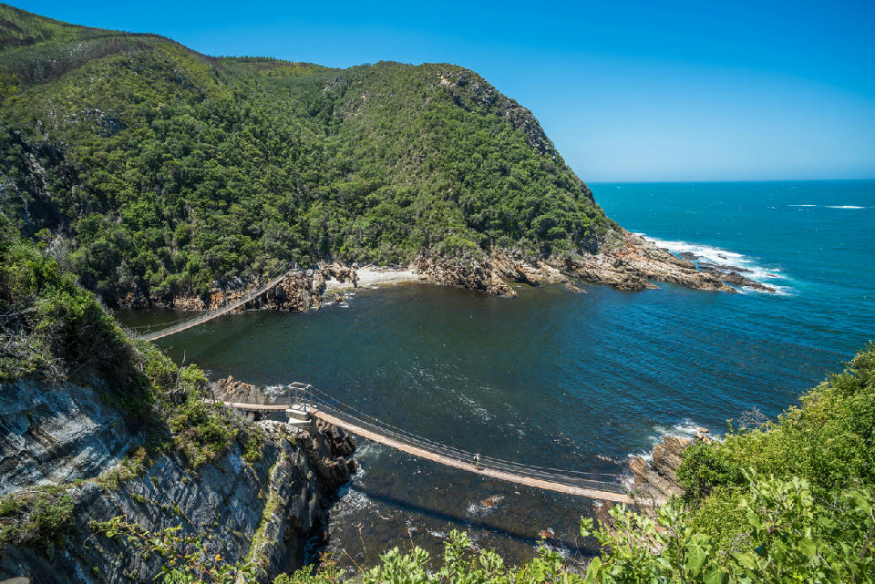 Suspension bridges crossing Storms River Mouth beneath forested cliffs and rugged coastline in Tsitsikamma National Park, Garden Route, South Africa.