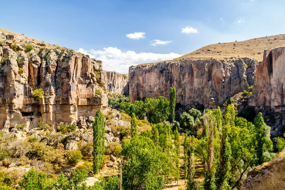 Rock cliffs and tree-lined valley floor in Ihlara Valley, Cappadocia, Turkey.
