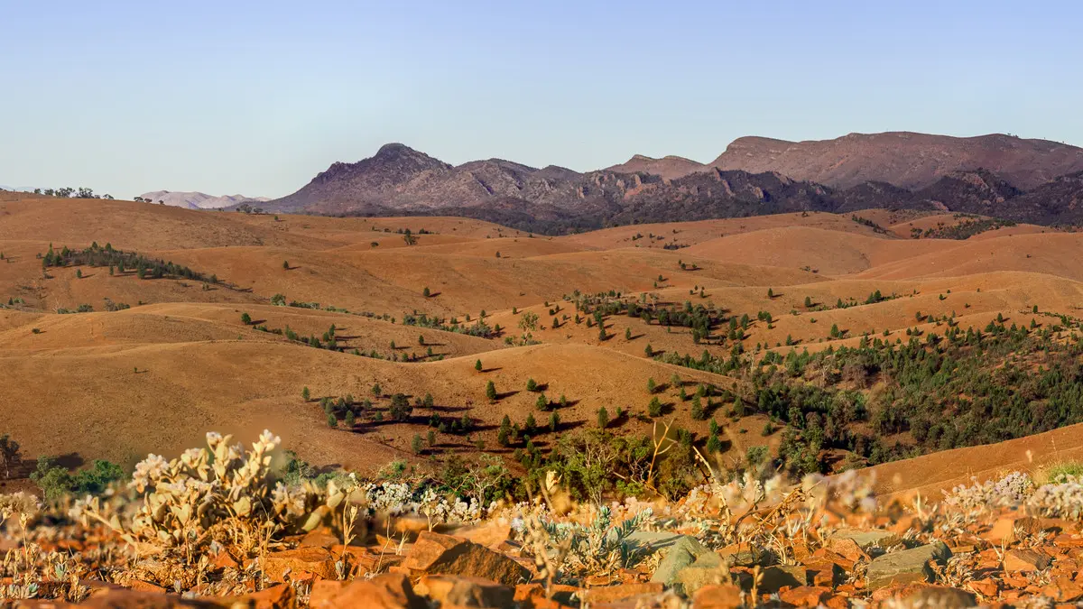 Panoramic view of Bunyeroo Valley in the Flinders Ranges, South Australia, showing rolling ochre hills, scattered trees and rugged mountain ridges beneath a clear sky.