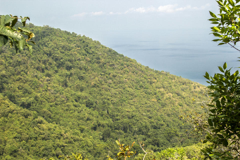 Panoramic view of the forested hills of Gombe Stream National Park overlooking Lake Tanganyika in western Tanzania.