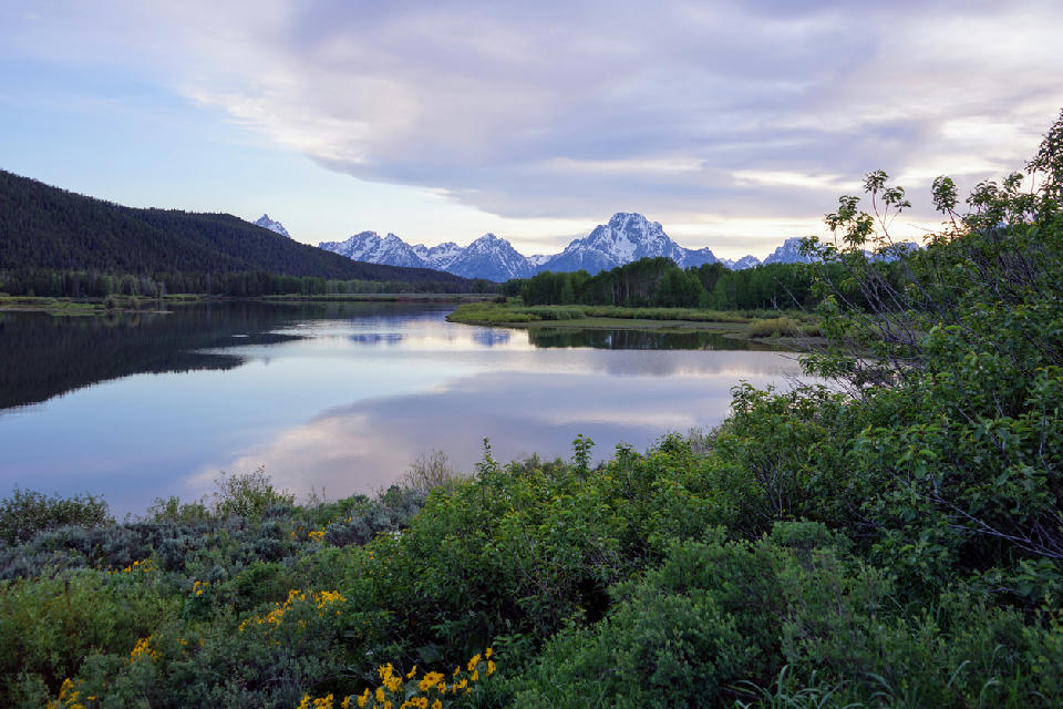 Still lake with vegetation and reflections beneath the Grand Teton Alpine Lakes system at dusk in Wyoming.