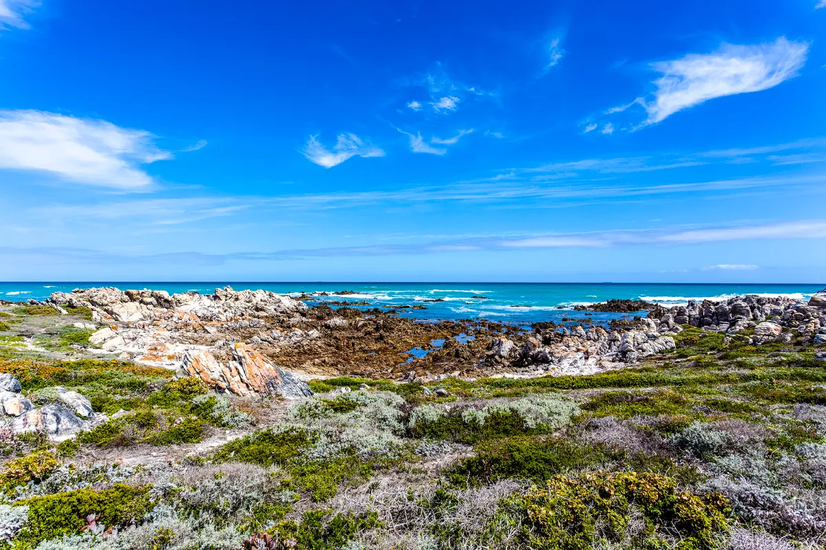 Rocky Cape Agulhas coastline with coastal fynbos and open ocean beneath a bright blue sky in South Africa.