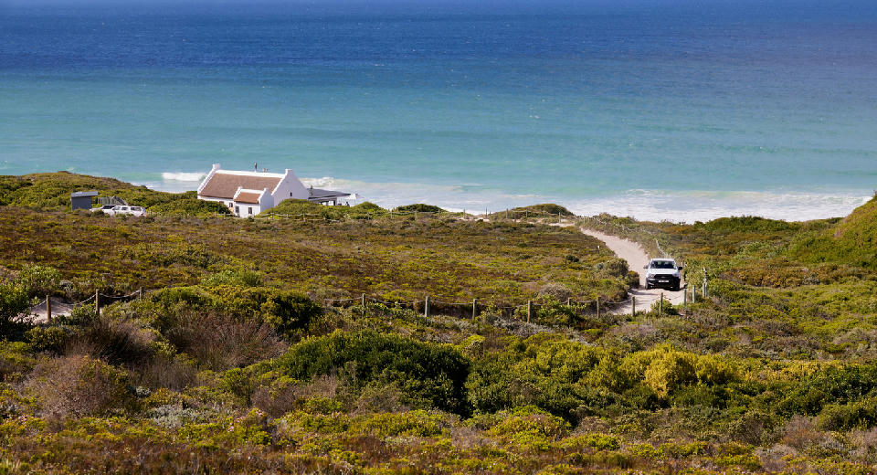 Road descending through coastal fynbos toward the ocean in De Hoop and the Southern Overberg coastline, South Africa.