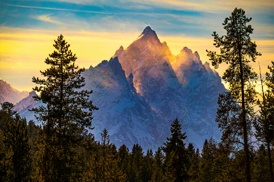 Sunrise light hitting the summit of Grand Teton with pine trees silhouetted in the foreground, Wyoming.