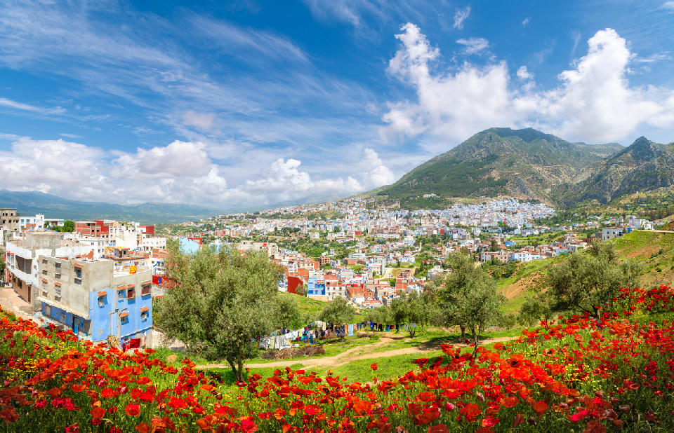 Spring view of Chefchaouen with red poppies and the blue medina beneath the Rif Mountains in Morocco
