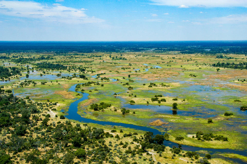 Aerial view of the winding river channels and floodplains of the Okavango Delta in Botswana.