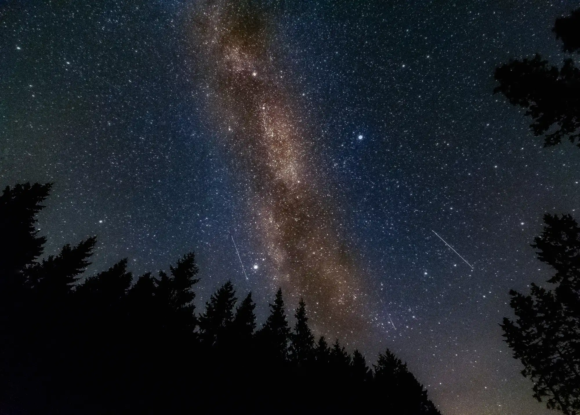 Milky Way stretching vertically across a star-filled night sky above silhouetted conifer trees in Kielder Forest, Northumberland.