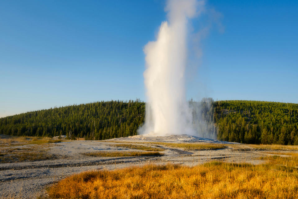 Old Faithful Geyser eruption Yellowstone National Park geothermal geyser plume Wyoming USA