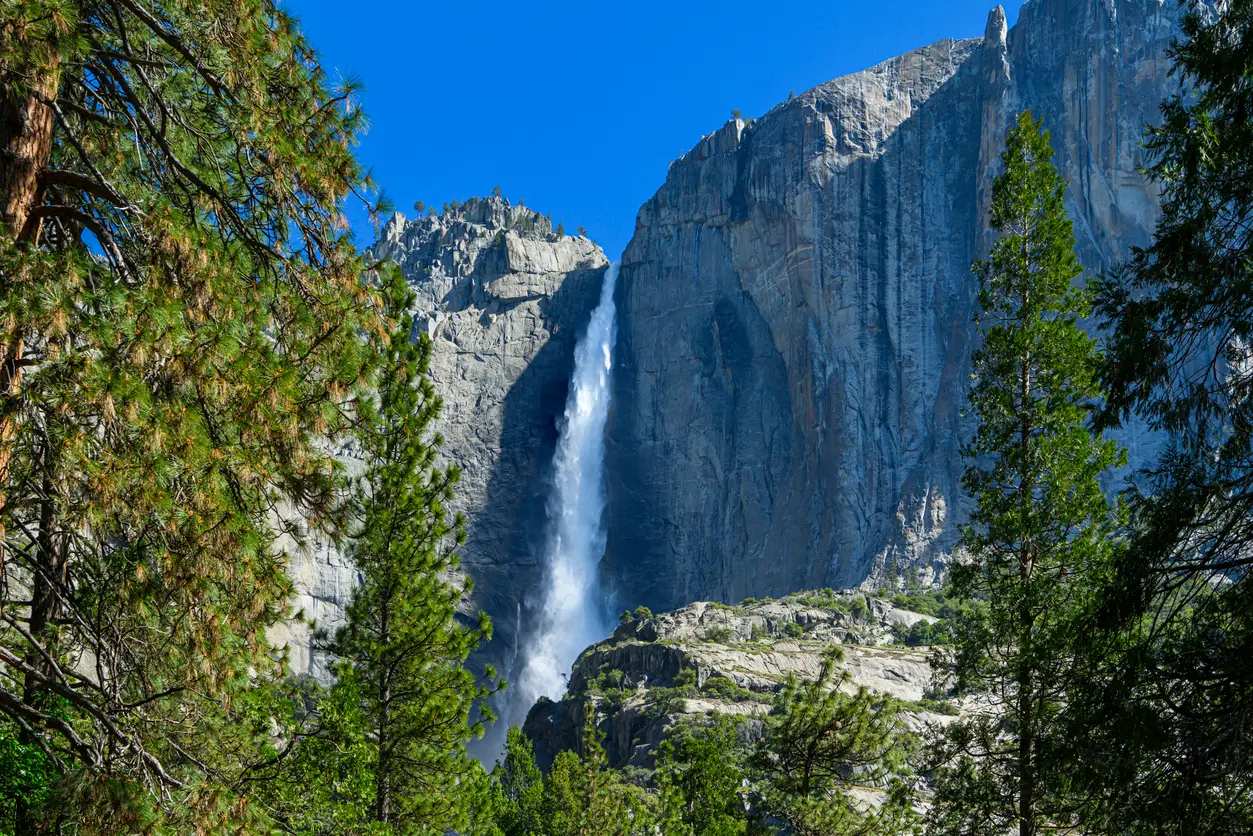 Yosemite Falls cascading down a granite cliff in Yosemite Valley, California, surrounded by pine trees in spring.