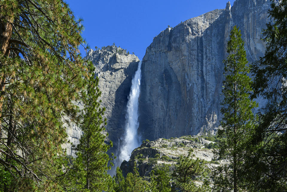 Yosemite Falls cascading down a granite cliff in Yosemite Valley, California, surrounded by pine trees in spring.