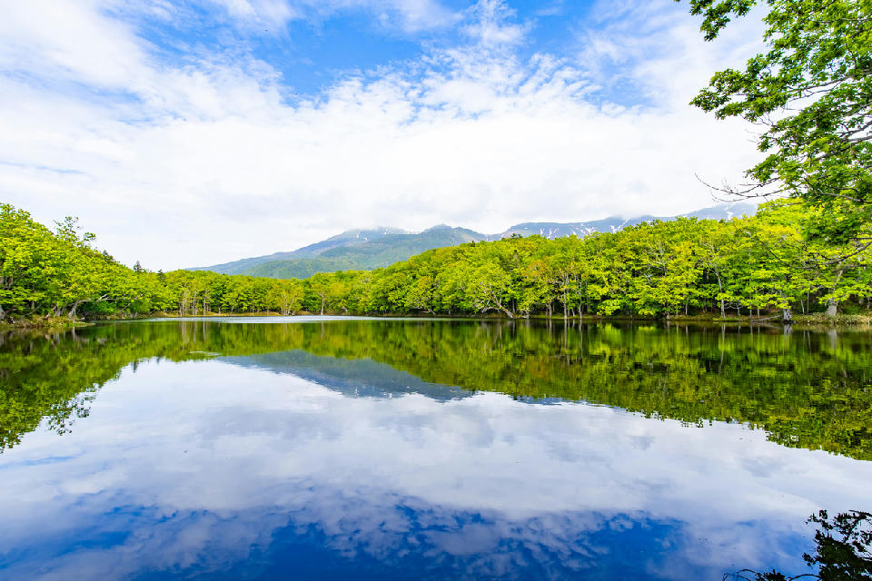Calm lake reflecting forest and mountains at Shiretoko Five Lakes, Hokkaido