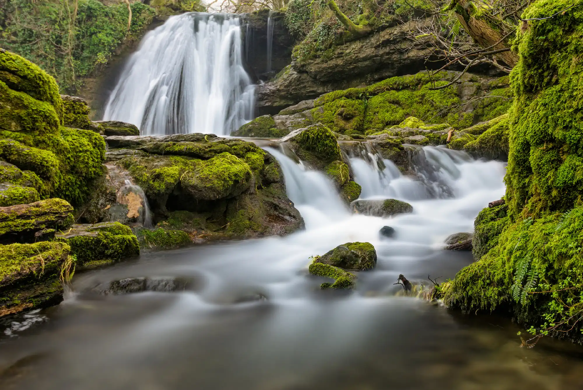 Long-exposure photograph of Janet's Foss waterfall flowing over moss-covered limestone rocks into a woodland pool in North Yorkshire, England.