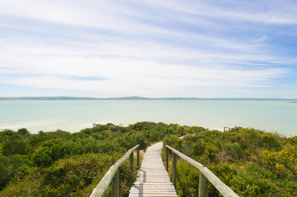 Wooden boardwalk leading through coastal fynbos to the calm turquoise waters of Langebaan Lagoon in West Coast National Park.