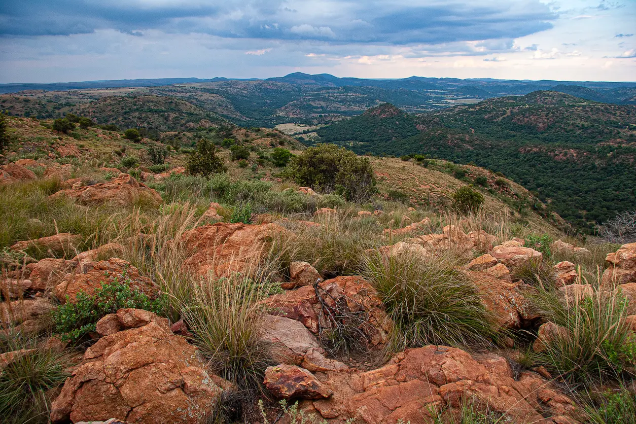 Elevated panorama of rocky ridges, wooded valleys and rolling hills within the Vredefort Dome in South Africa.