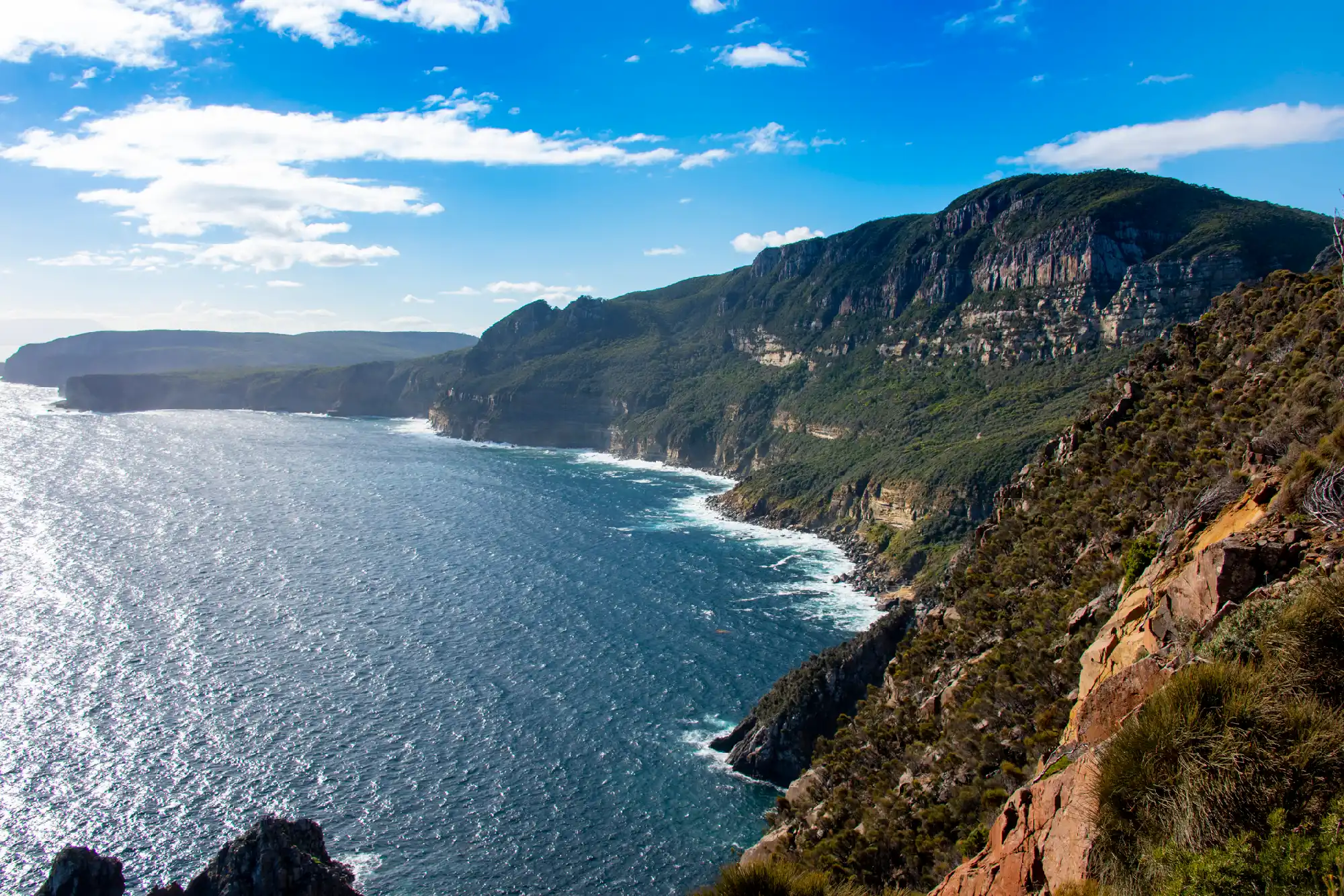 Wide view of the towering sea cliffs and rugged coastline at Cape Raoul, Tasmania.