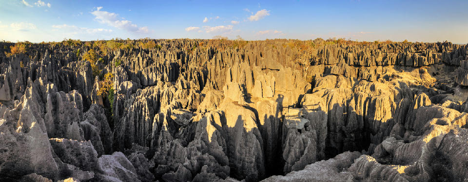 Panoramic view of the razor-sharp limestone pinnacles of the Great Tsingy in Tsingy de Bemaraha National Park, Madagascar