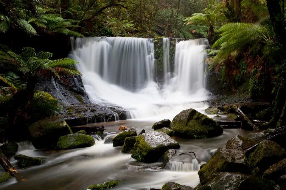 Horseshoe Falls cascading over a broad rock ledge among tree ferns and moss-covered boulders in Mount Field National Park, Tasmania.