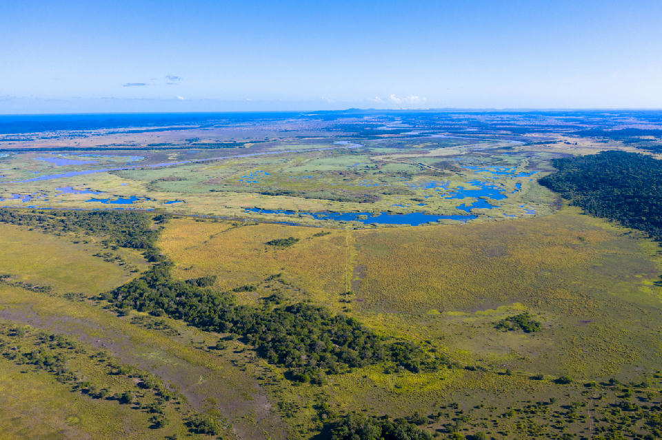 Drone view of wetlands, lakes and coastal forest within iSimangaliso Wetland Park, KwaZulu-Natal, South Africa.