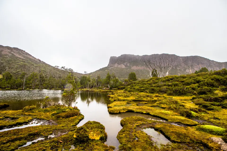Pool of Bethesda surrounded by alpine vegetation and dolerite cliffs in Walls of Jerusalem National Park, Tasmania.