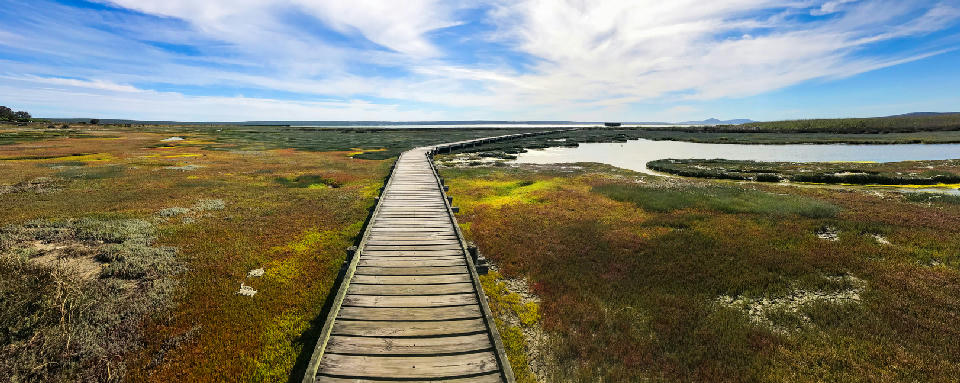 Wooden boardwalk crossing the tidal wetlands of Langebaan Lagoon toward Geelbek Bird Hide in West Coast National Park, South Africa.