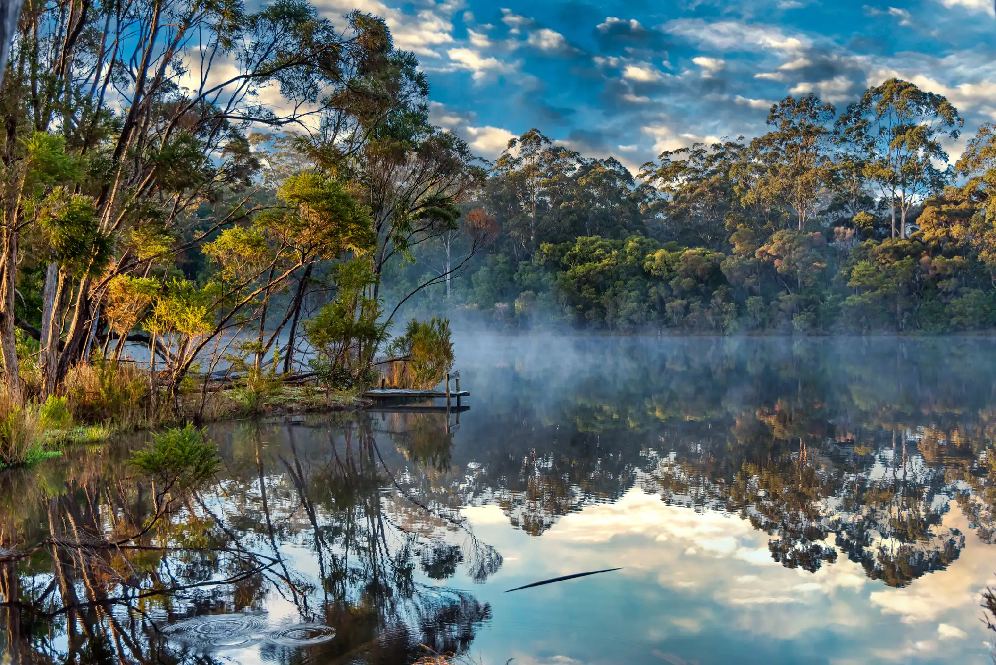 Mist over a forest-fringed lake near Pemberton in the Karri Forests of Western Australia.