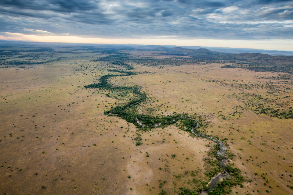 Aerial view of the Grumeti River meandering across the Serengeti plains under dramatic clouds in the Western Serengeti, Tanzania.