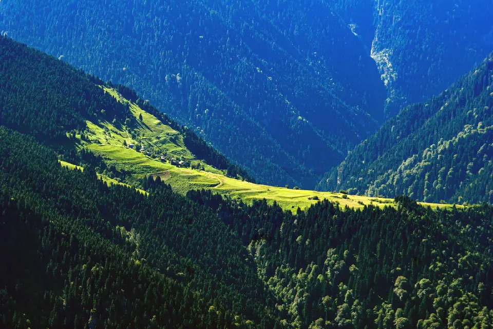 Çat Plateau surrounded by dense spruce forests and steep mountain valleys in the Kaçkar Mountains near Çamlıhemşin, Turkey.