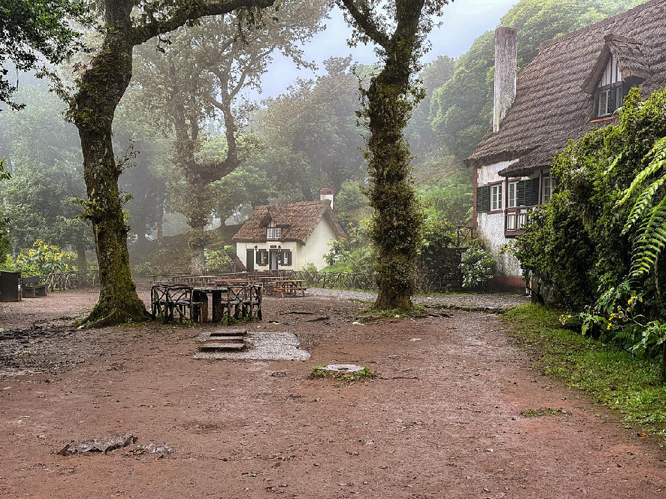 Queimadas Forest Park in Madeira with thatched houses and trees in mist, at the trailhead of the Levada do Caldeirão Verde.