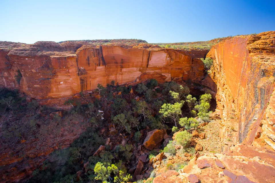 View from the cliff edge across the sheer red sandstone walls and gorge of Kings Canyon, Northern Territory, Australia.