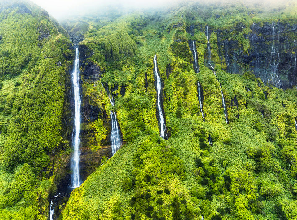 Multiple slender waterfalls descending mossy green cliffs at Poço da Ribeira do Ferreiro on Flores Island in the Azores.